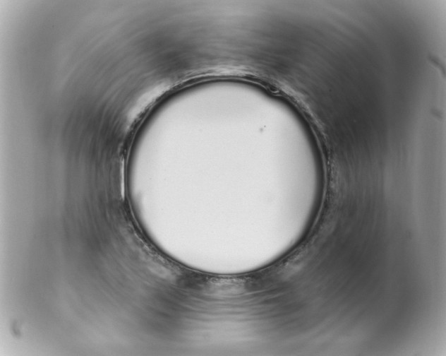 X0000102291171200808151945