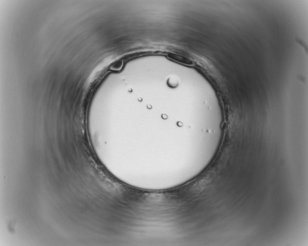 X0000102291172200808151945