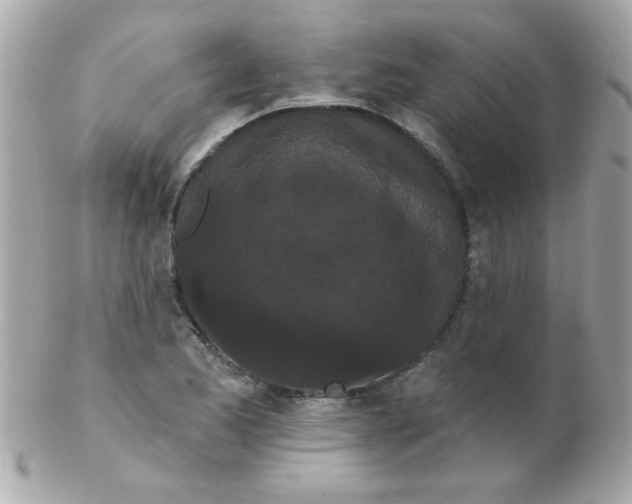 X0000102291173200808151945