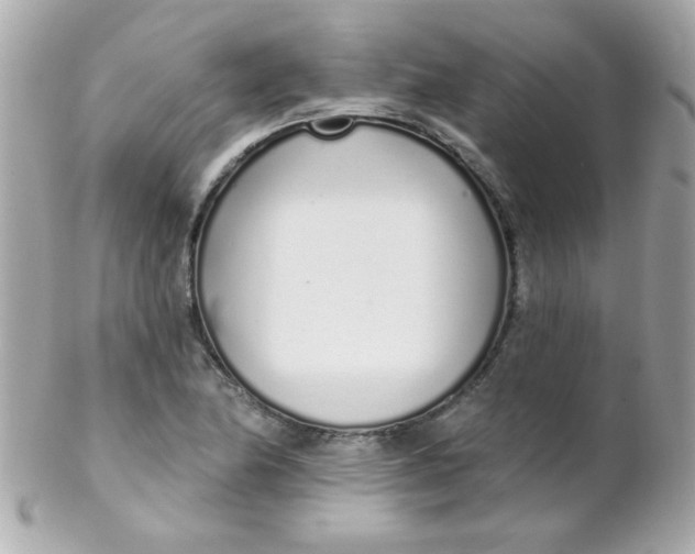 X0000102291174200808151945