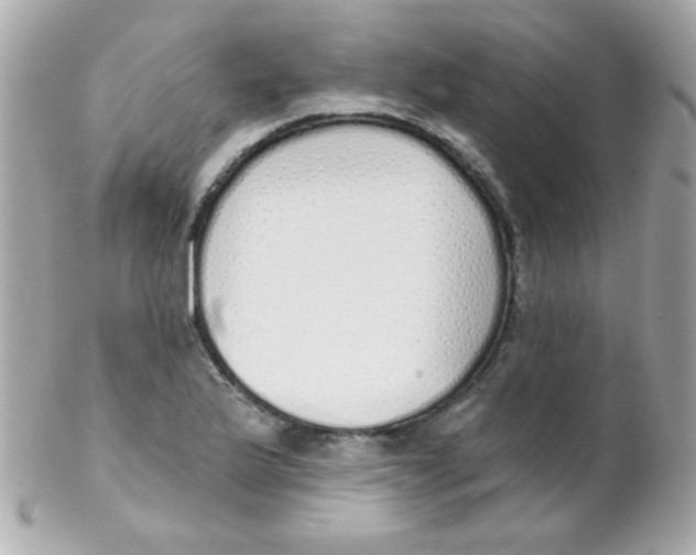 X0000102291175200808151945