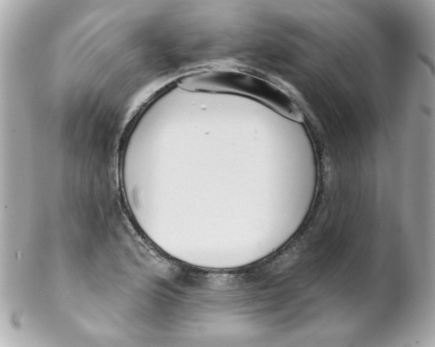 X0000102291176200808151945