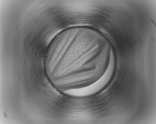 X0000102291177200808151945