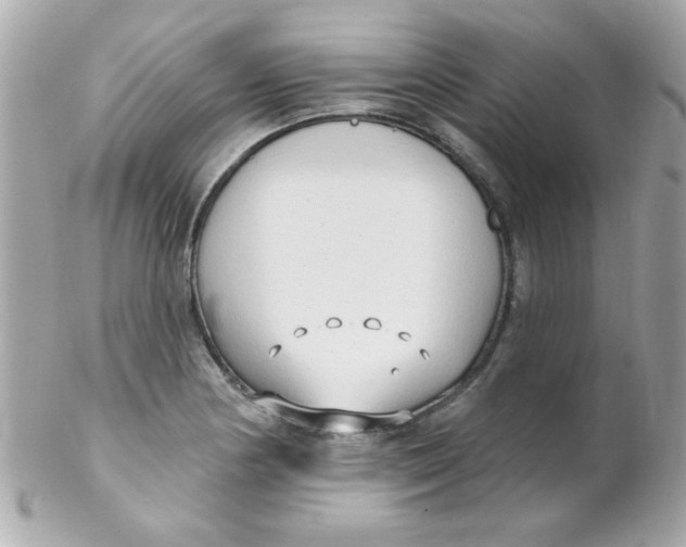 X0000102291178200808151945