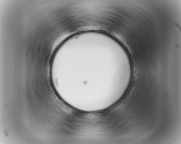 X0000102291179200808151945