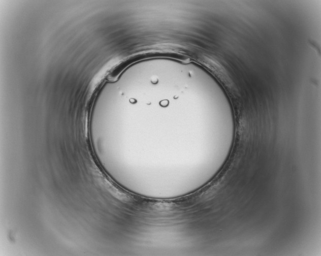 X0000102291180200808151945