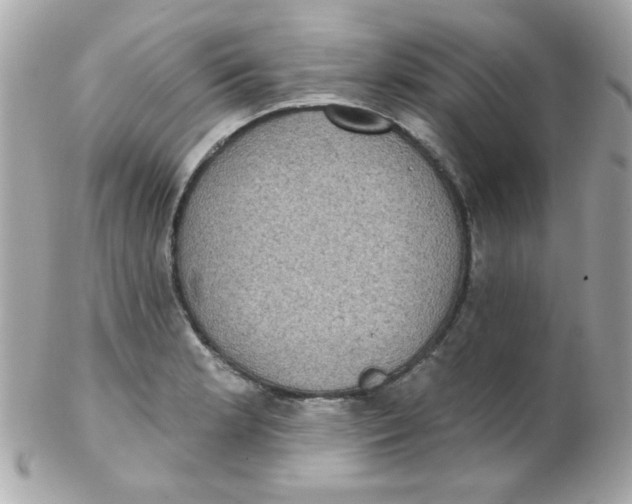 X0000102291181200808151945