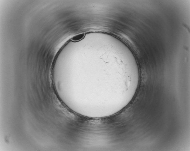 X0000102291182200808151945