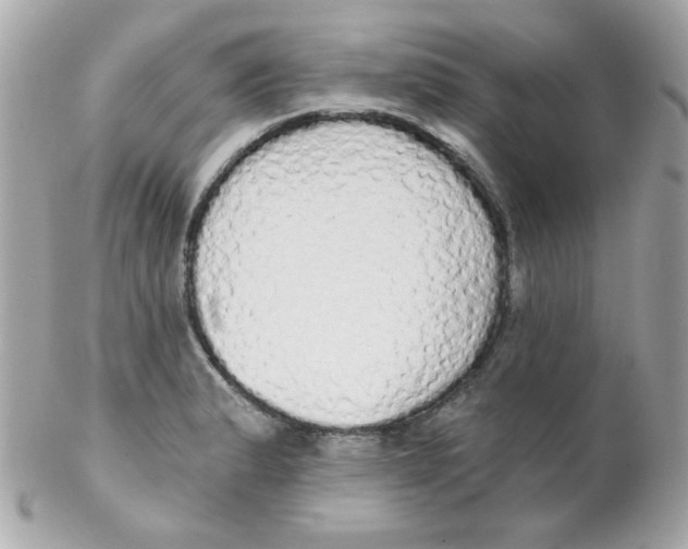 X0000102291183200808151945