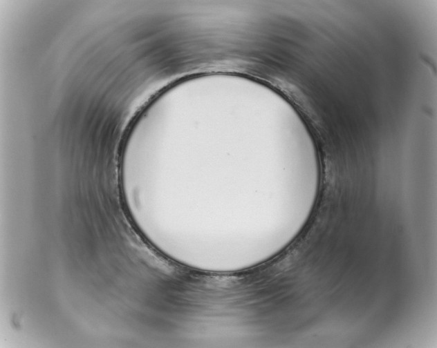 X0000102291184200808151945