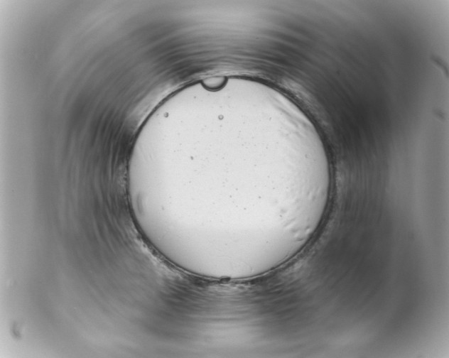 X0000102291185200808151945