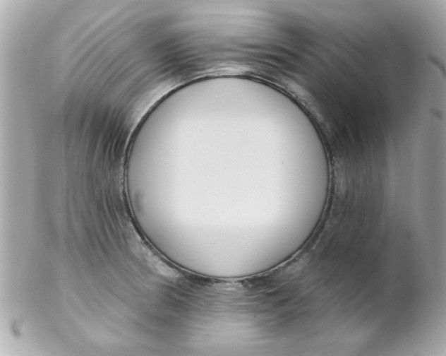 X0000102291186200808151945