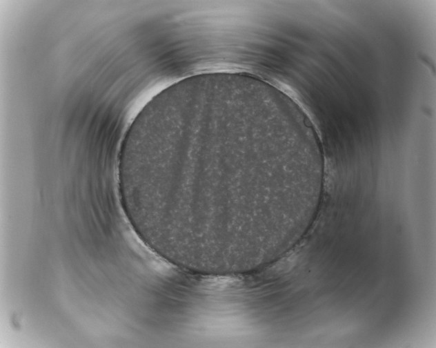 X0000102291187200808151945