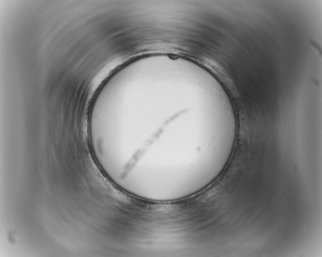 X0000102291188200808151945