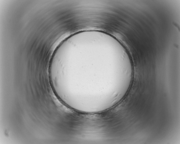 X0000102291189200808151945