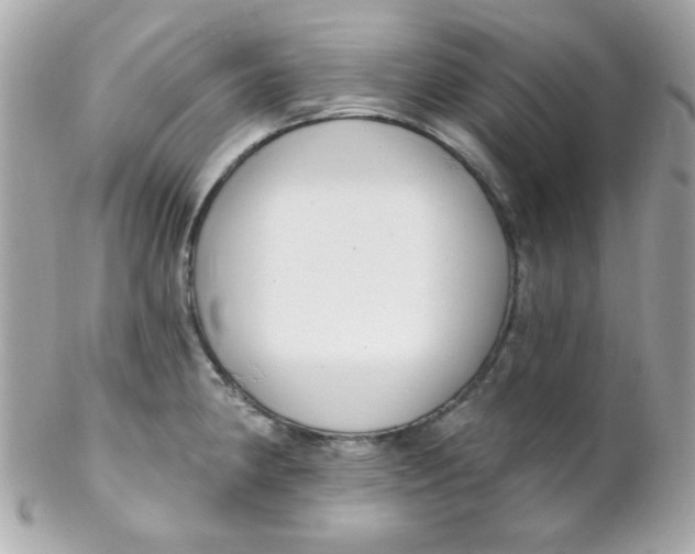 X0000102291190200808151945