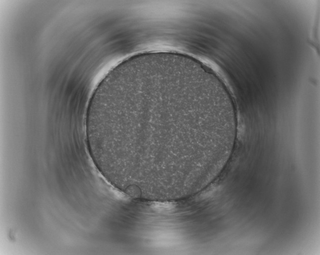 X0000102291191200808151945