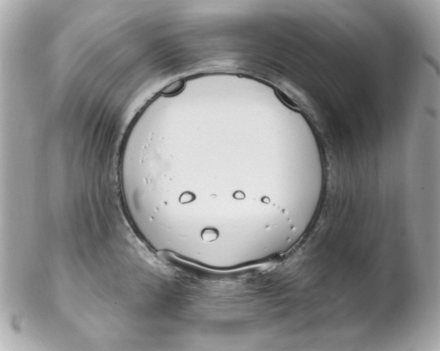 X0000102291192200808151945