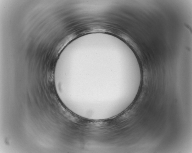 X0000102291193200808151945