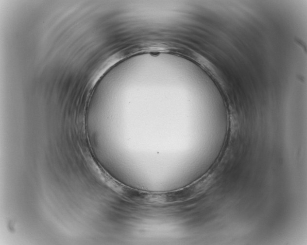 X0000102291194200808151945