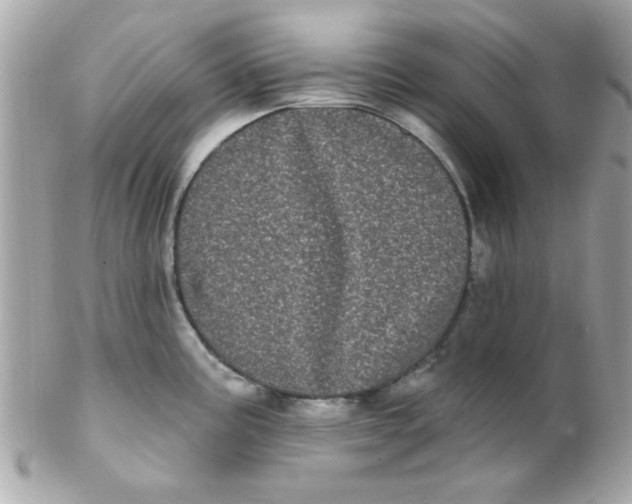 X0000102291195200808151945