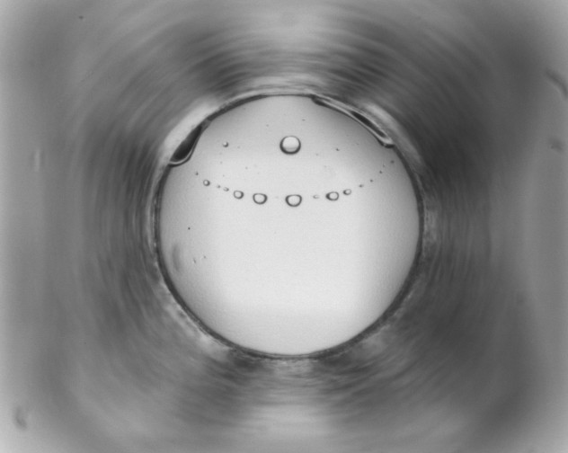 X0000102291196200808151945