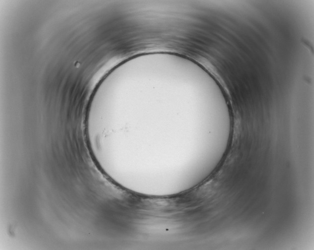 X0000102291197200808151945