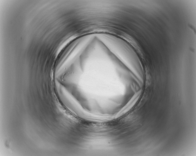 X0000102291198200808151945