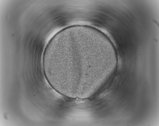 X0000102291199200808151945