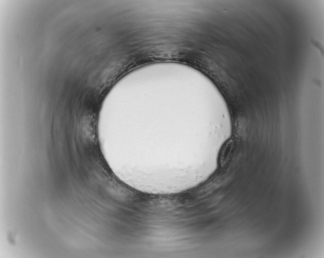 X0000102291202200808151944