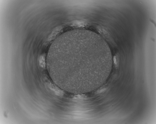 X0000102291203200808151944