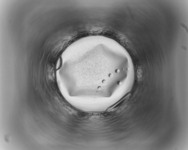 X0000102291204200808151944