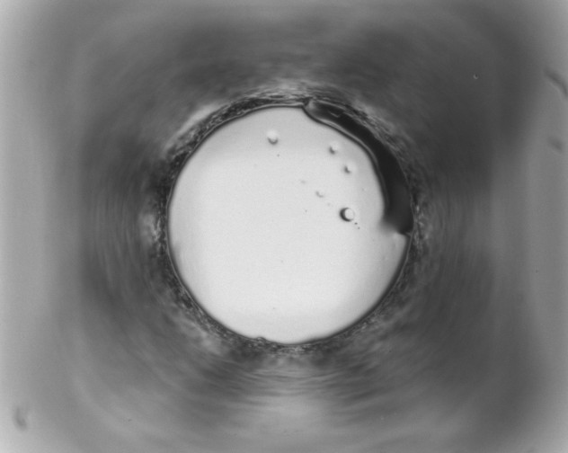 X0000102291206200808151944