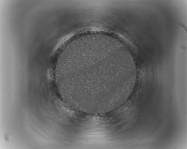 X0000102291207200808151944