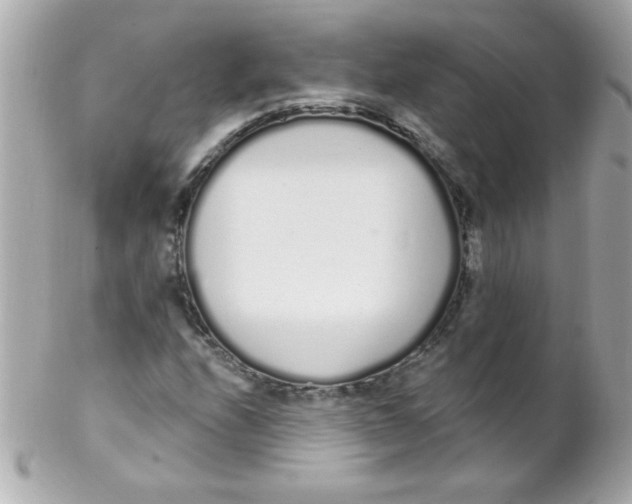 X0000102291208200808151944