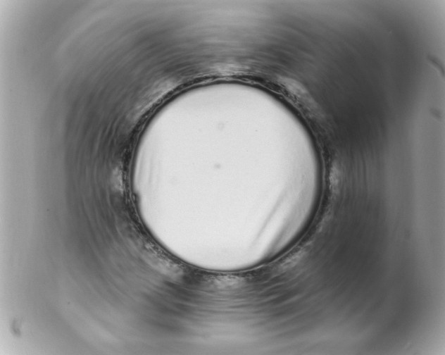 X0000102291209200808151945