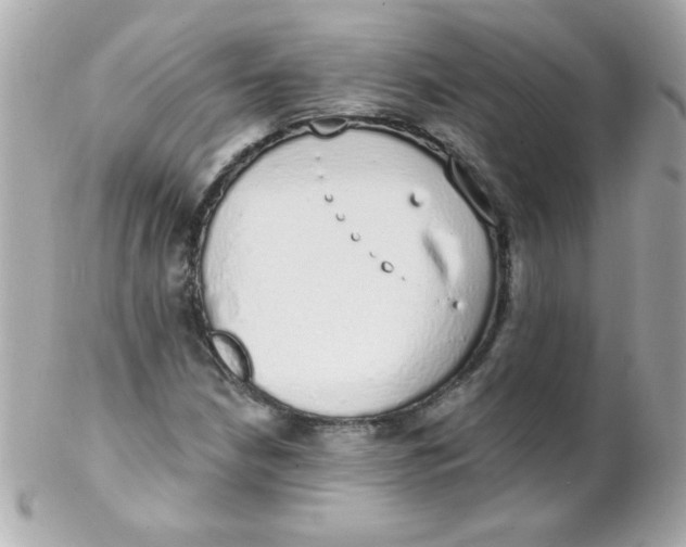 X0000102291210200808151945