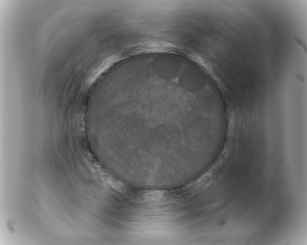 X0000102291211200808151945