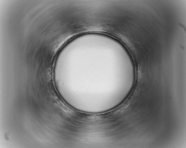 X0000102291212200808151945