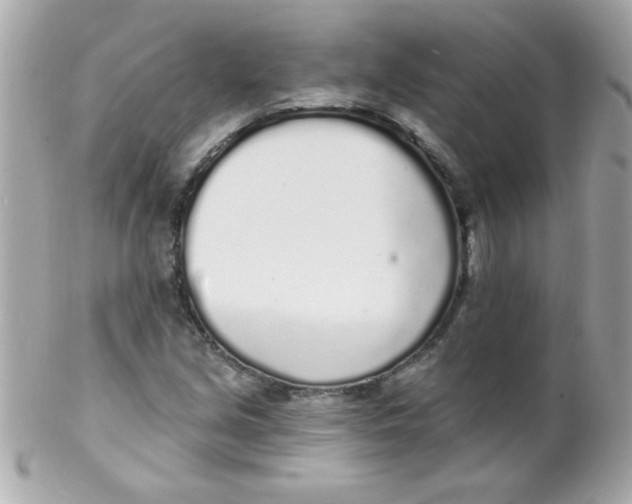 X0000102291213200808151945