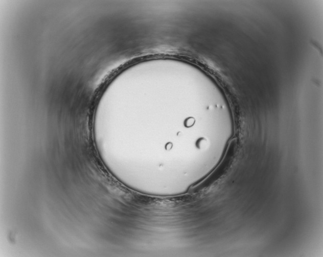 X0000102291214200808151945