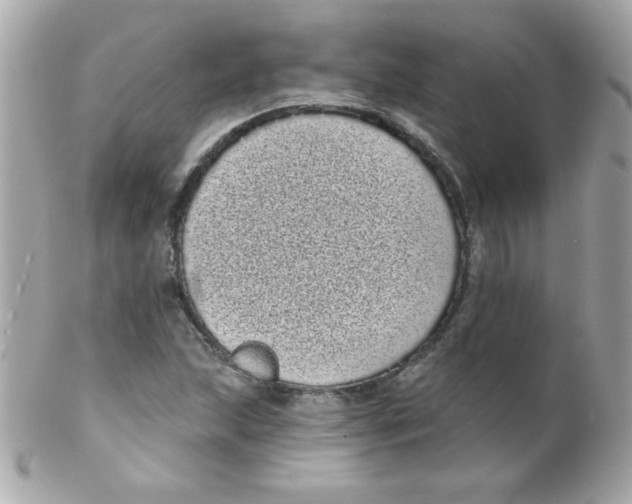 X0000102291215200808151945