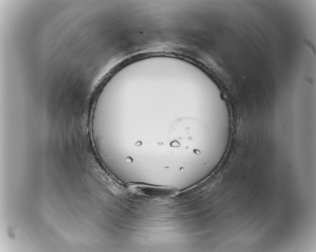 X0000102291216200808151945