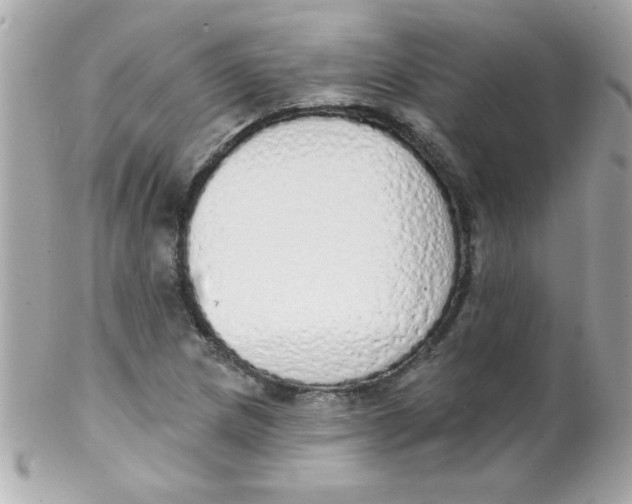 X0000102291217200808151945