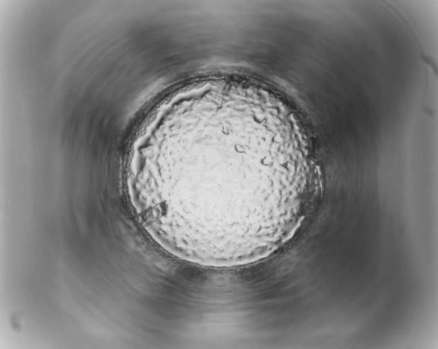 X0000102291219200808151945