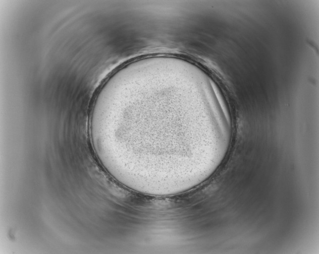 X0000102291220200808151945