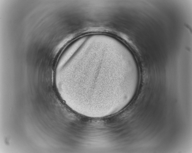 X0000102291221200808151945