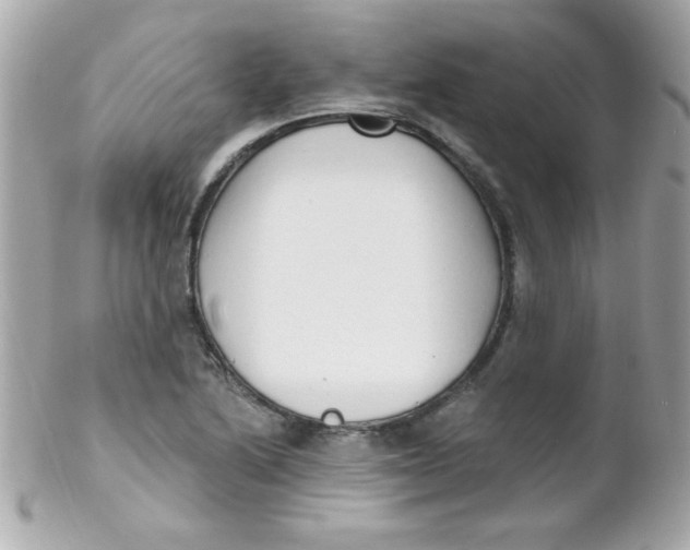 X0000102291222200808151945