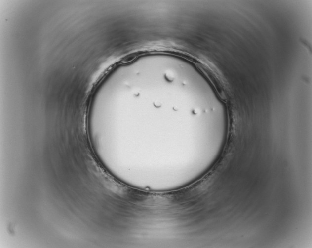 X0000102291224200808151945