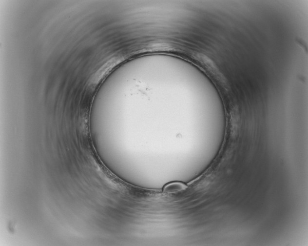 X0000102291225200808151945